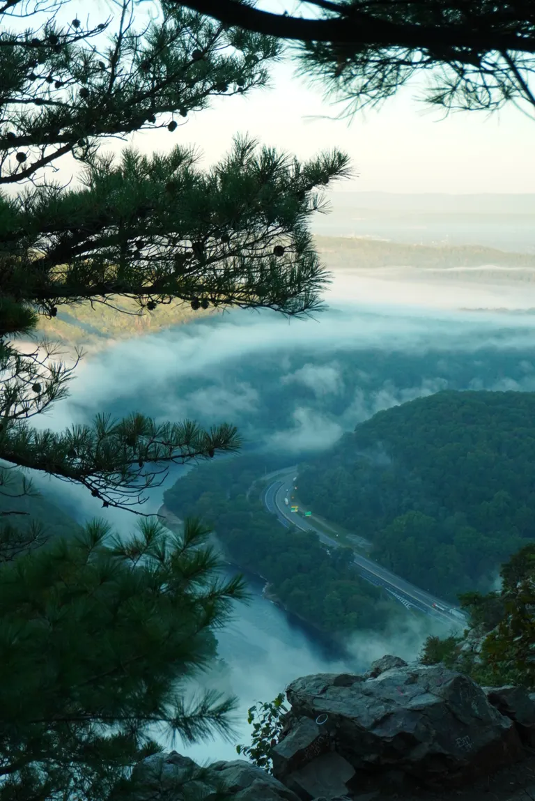 Nature photography by MFM Studio NYC