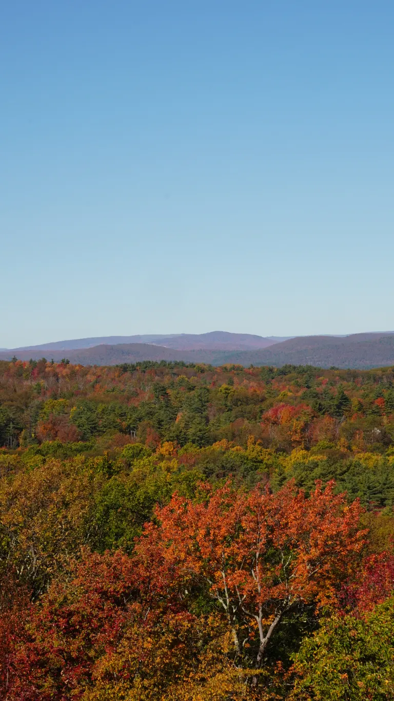 Nature photography by MFM Studio NYC