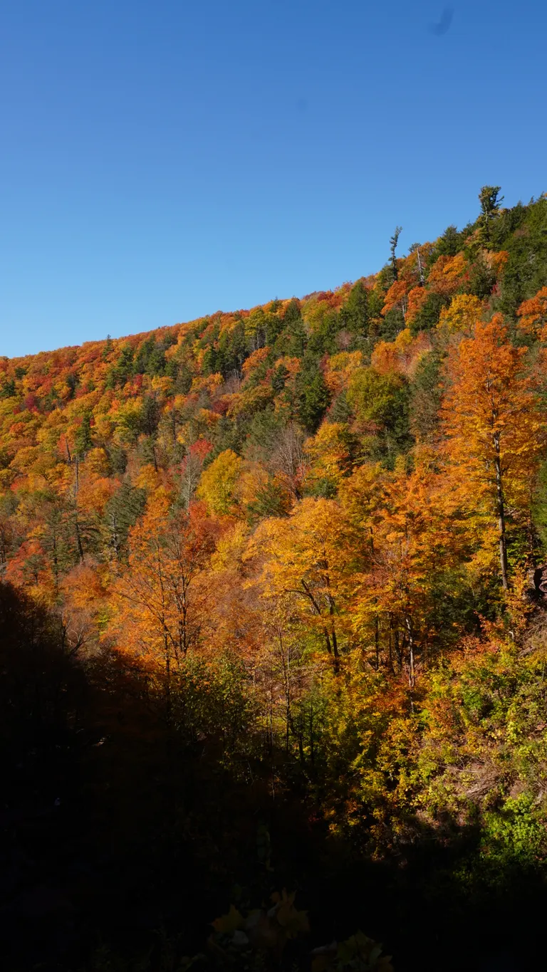 Nature photography by MFM Studio NYC