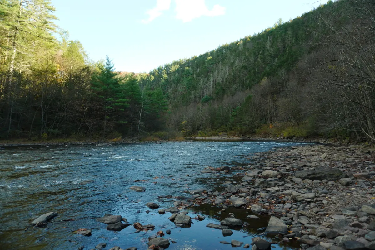 Nature photography by MFM Studio NYC
