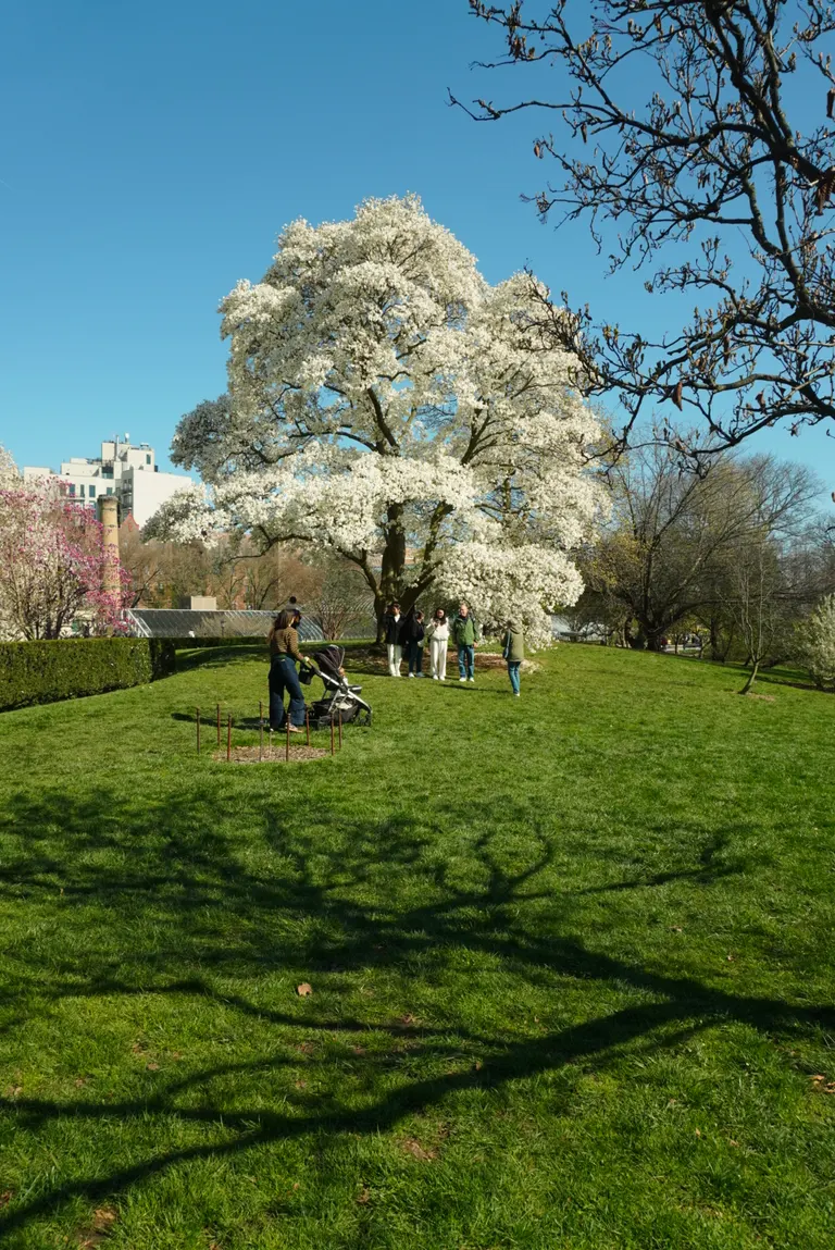 Nature photography by MFM Studio NYC