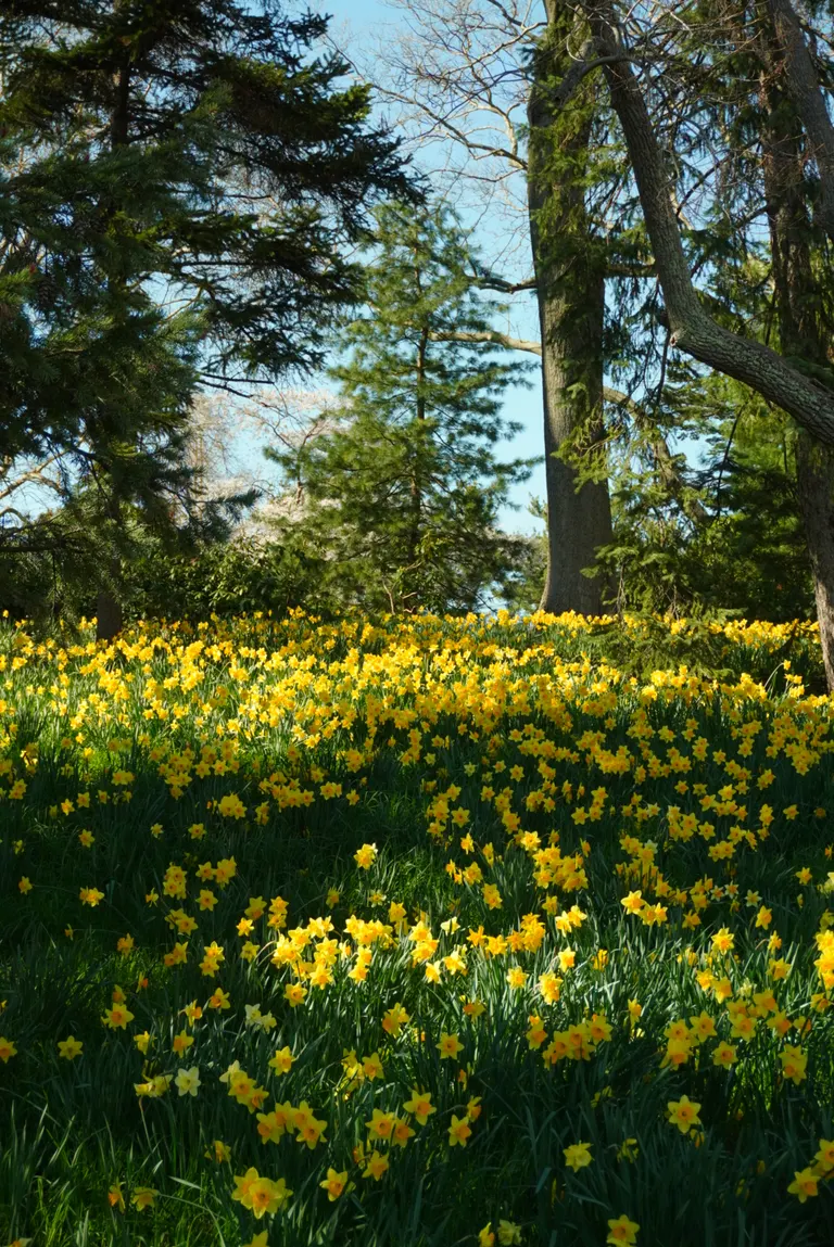 Nature photography by MFM Studio NYC