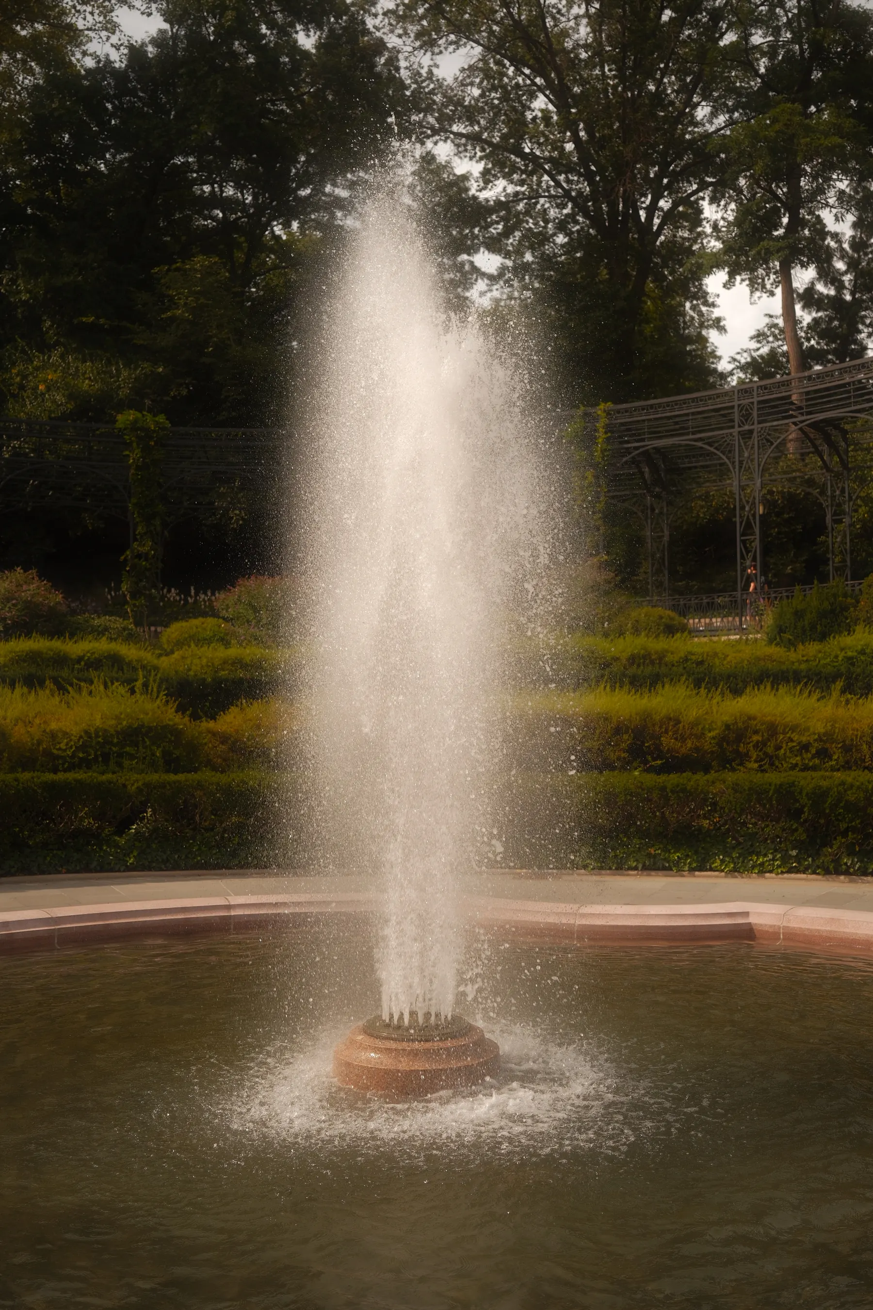 Nature photography by MFM Studio NYC