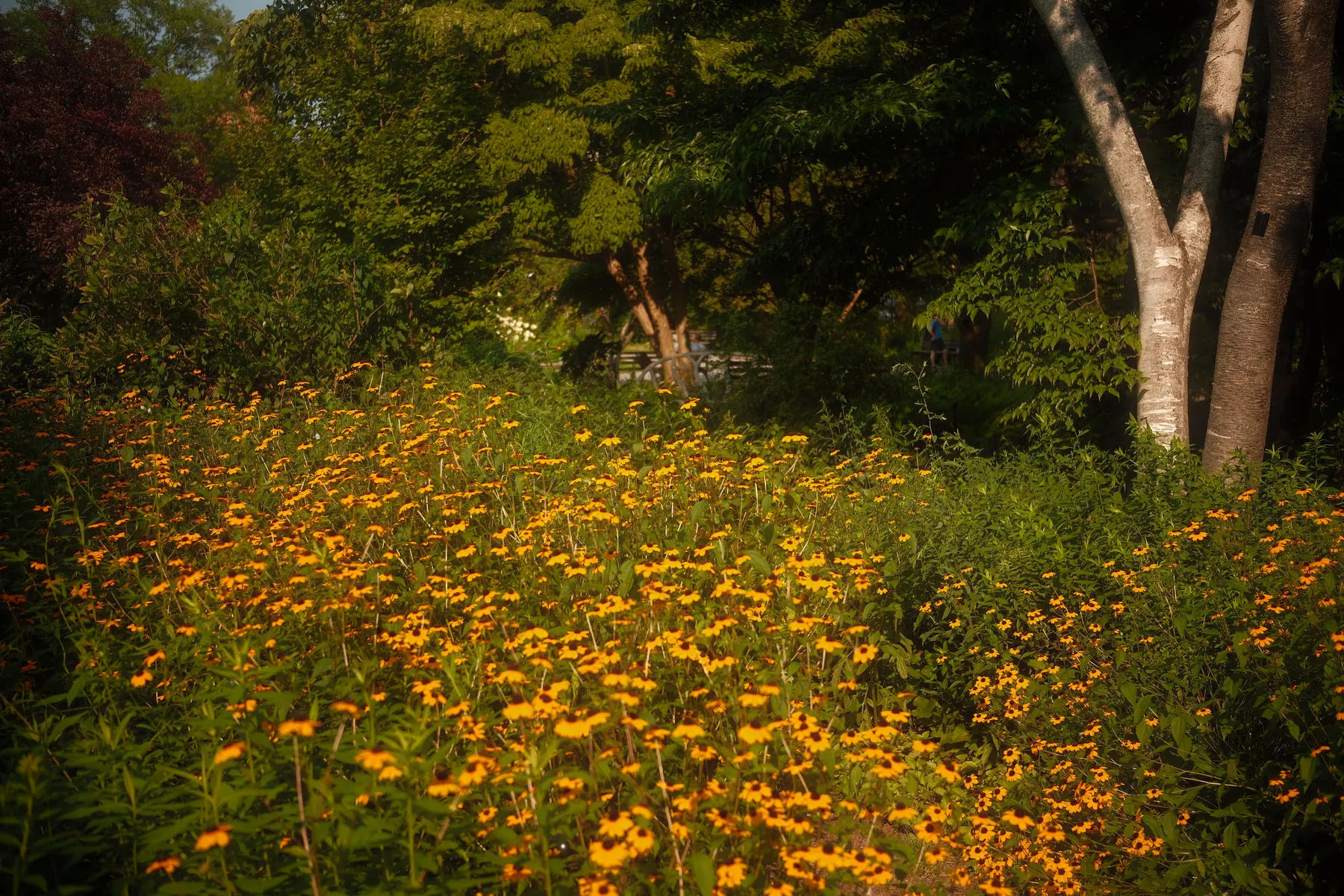 Nature photography by MFM Studio NYC