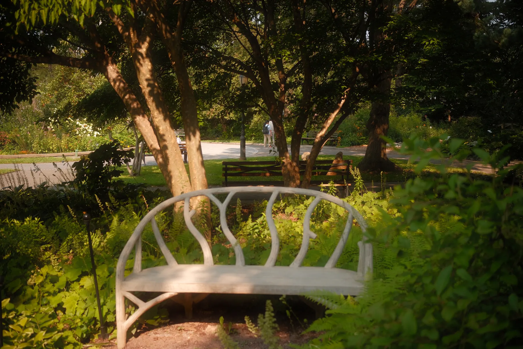 Nature photography by MFM Studio NYC