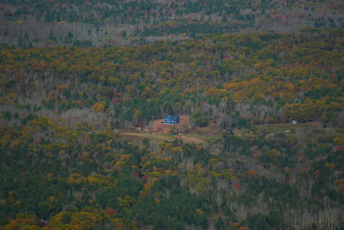 Nature photography by MFM Studio NYC