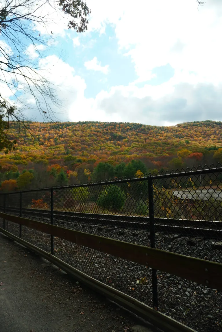 Nature photography by MFM Studio NYC
