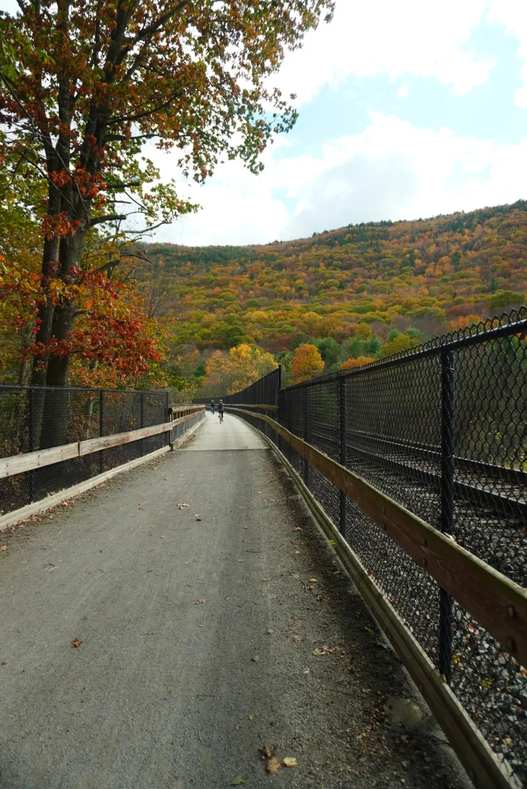 Nature photography by MFM Studio NYC
