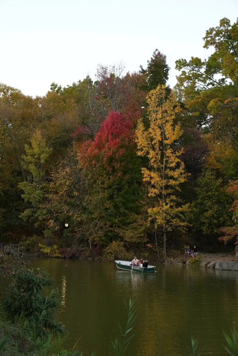 Nature photography by MFM Studio NYC