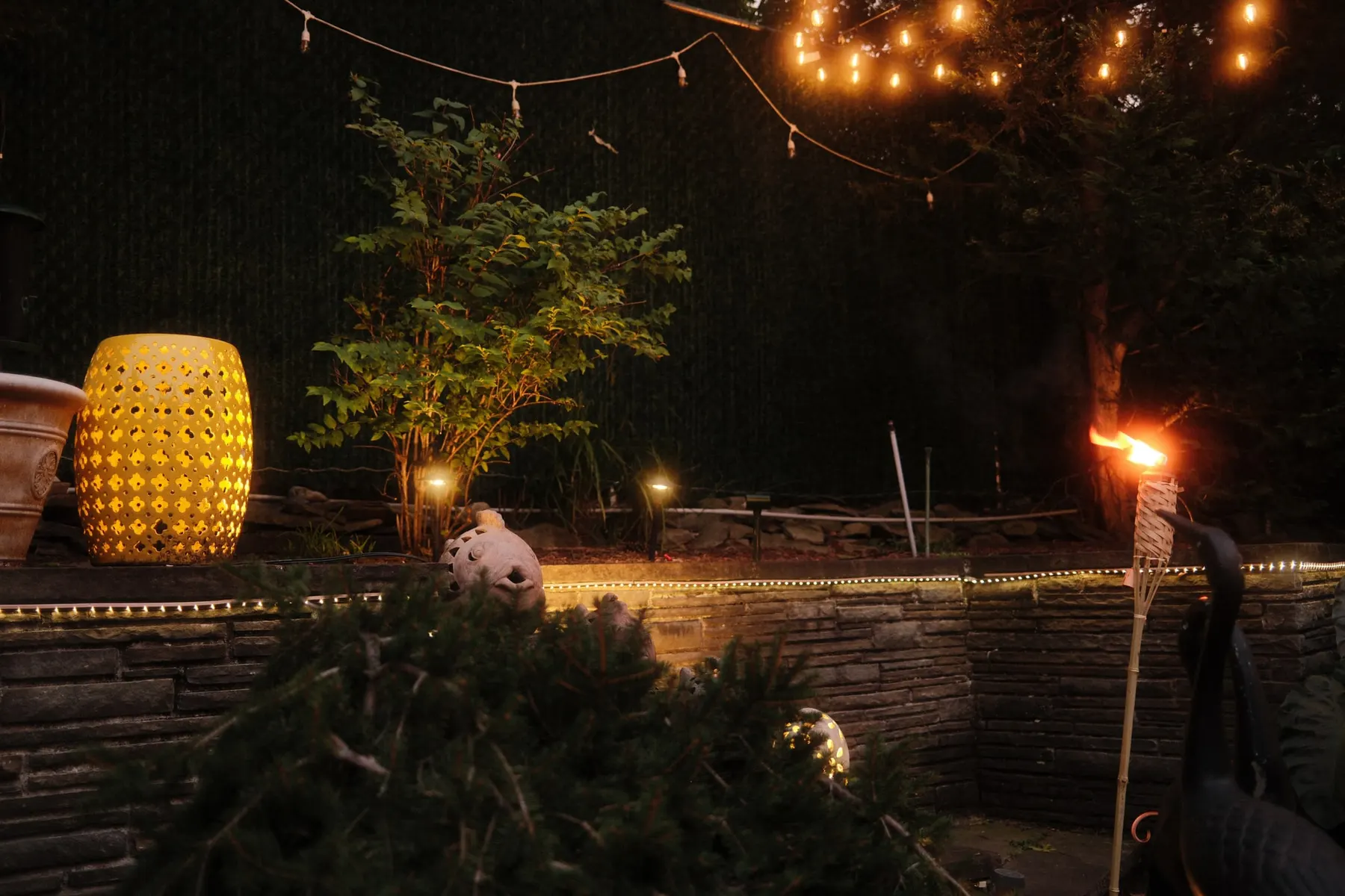 The garden by torchlight