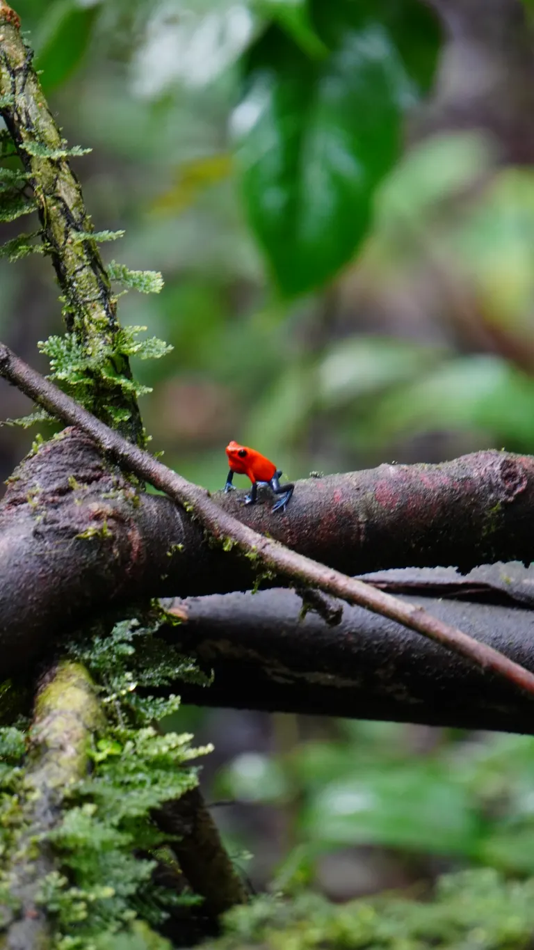 Wildlife photography by MFM Studio NYC