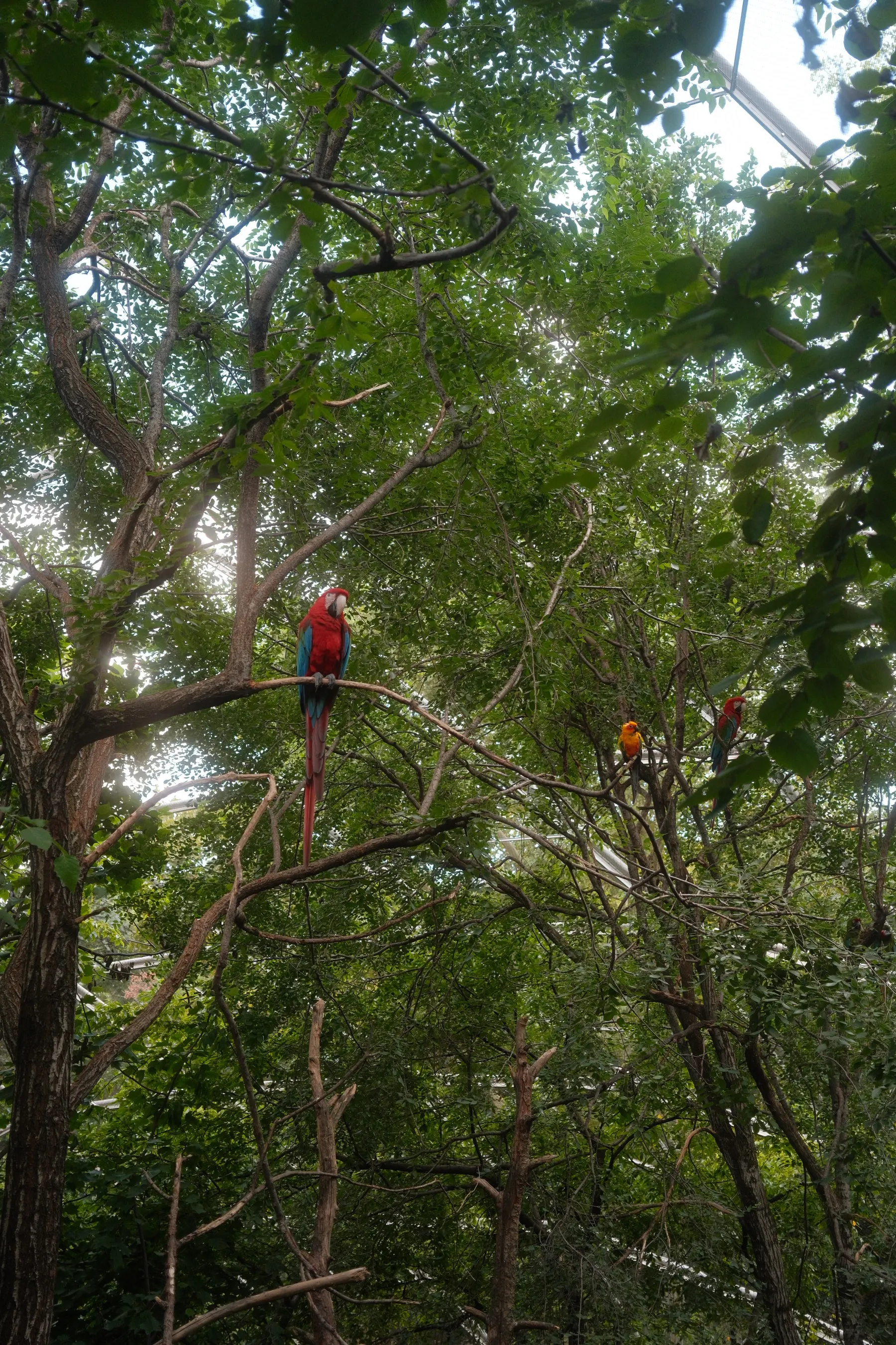 Wildlife photography by MFM Studio NYC