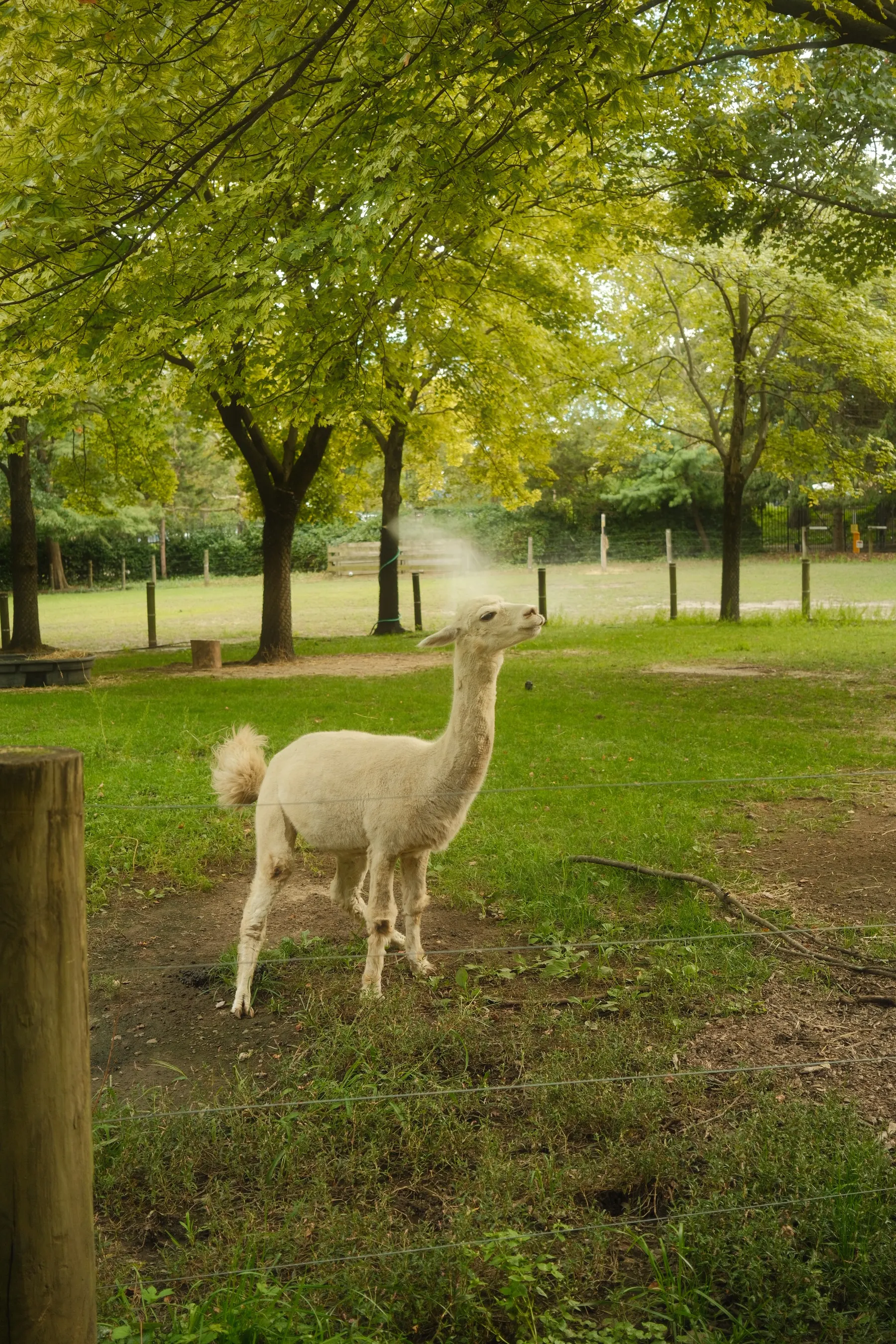 Wildlife photography by MFM Studio NYC